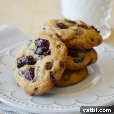 57 Irresistible Chocolate Chip Delights 12 img 47636 39