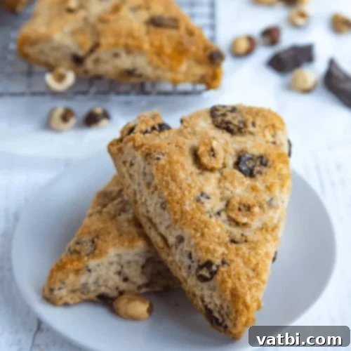 57 Irresistible Chocolate Chip Delights 20 img 47636 47