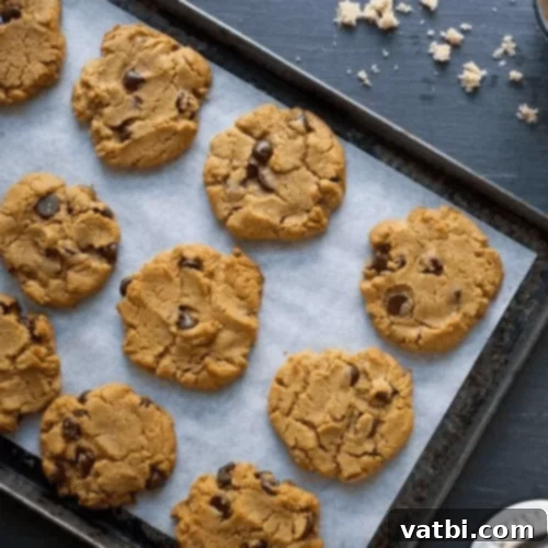 57 Irresistible Chocolate Chip Delights 23 img 47636 50