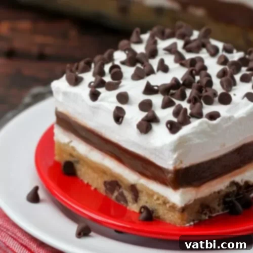 57 Irresistible Chocolate Chip Delights 26 img 47636 53