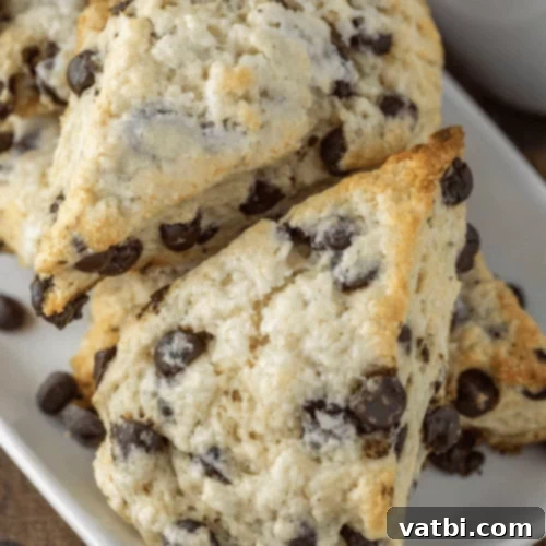 57 Irresistible Chocolate Chip Delights 27 img 47636 54