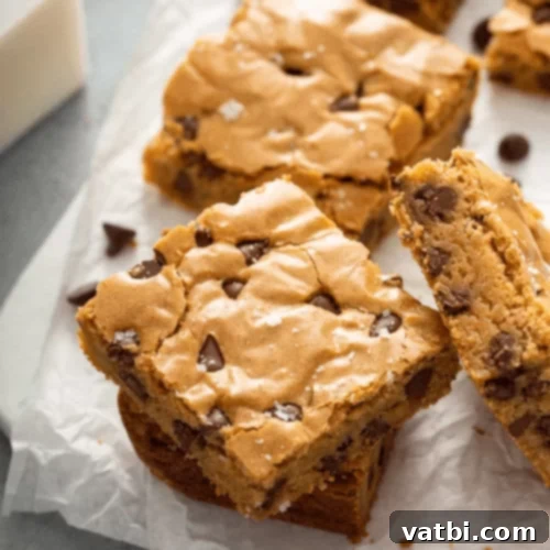 57 Irresistible Chocolate Chip Delights 31 img 47636 58