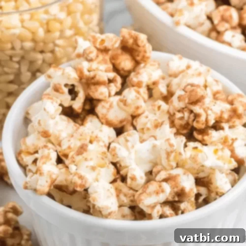 Gourmet Popcorn Creations 4 Cinnamon Popcorn with cinnamon, sugar, and butter coating.