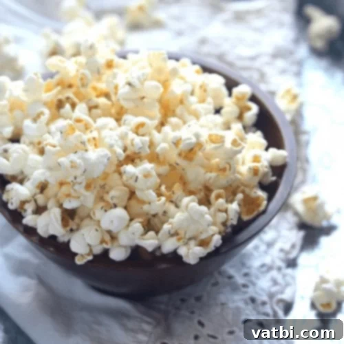 Gourmet Popcorn Creations 14 Salt and Vinegar Popcorn, a tangy and delicious snack.