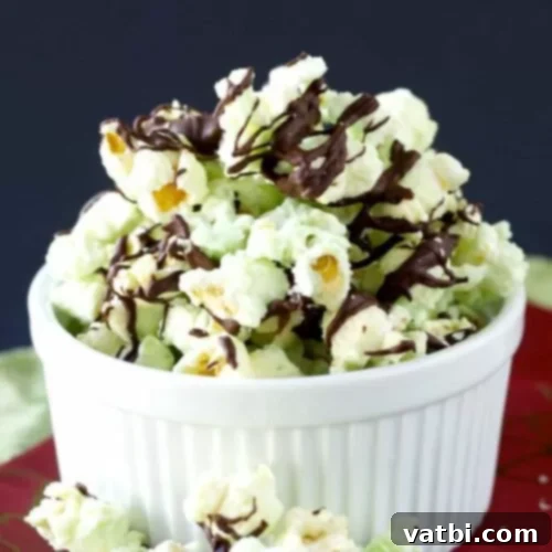 Gourmet Popcorn Creations 26 Chocolate Mint Popcorn with chocolate chips and peppermint extract.