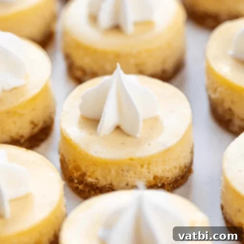 53 Holiday Eggnog Delights 42 Mini eggnog cheesecakes with a gingersnap cookie crust.