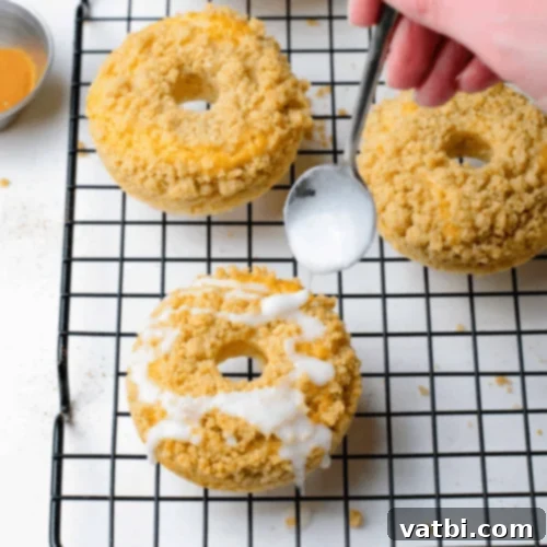 Irresistible Donut Ideas 10 Coffee Cake Crumb Donuts topped with streusel.