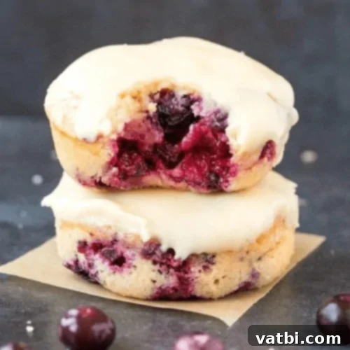 Irresistible Donut Ideas 26 5-ingredient blueberry donuts.