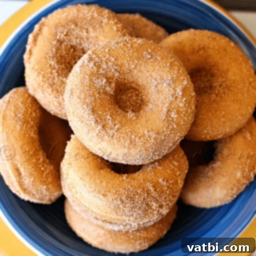 Irresistible Donut Ideas 37 Baked Churro Donuts with cinnamon sugar coating.