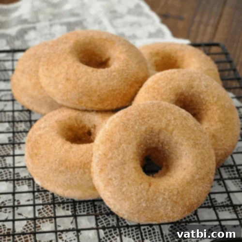 Irresistible Donut Ideas 40 Baked Buttermilk Donuts with cinnamon sugar.