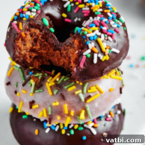Irresistible Donut Ideas 46 Protein Donuts, healthy and high in protein.