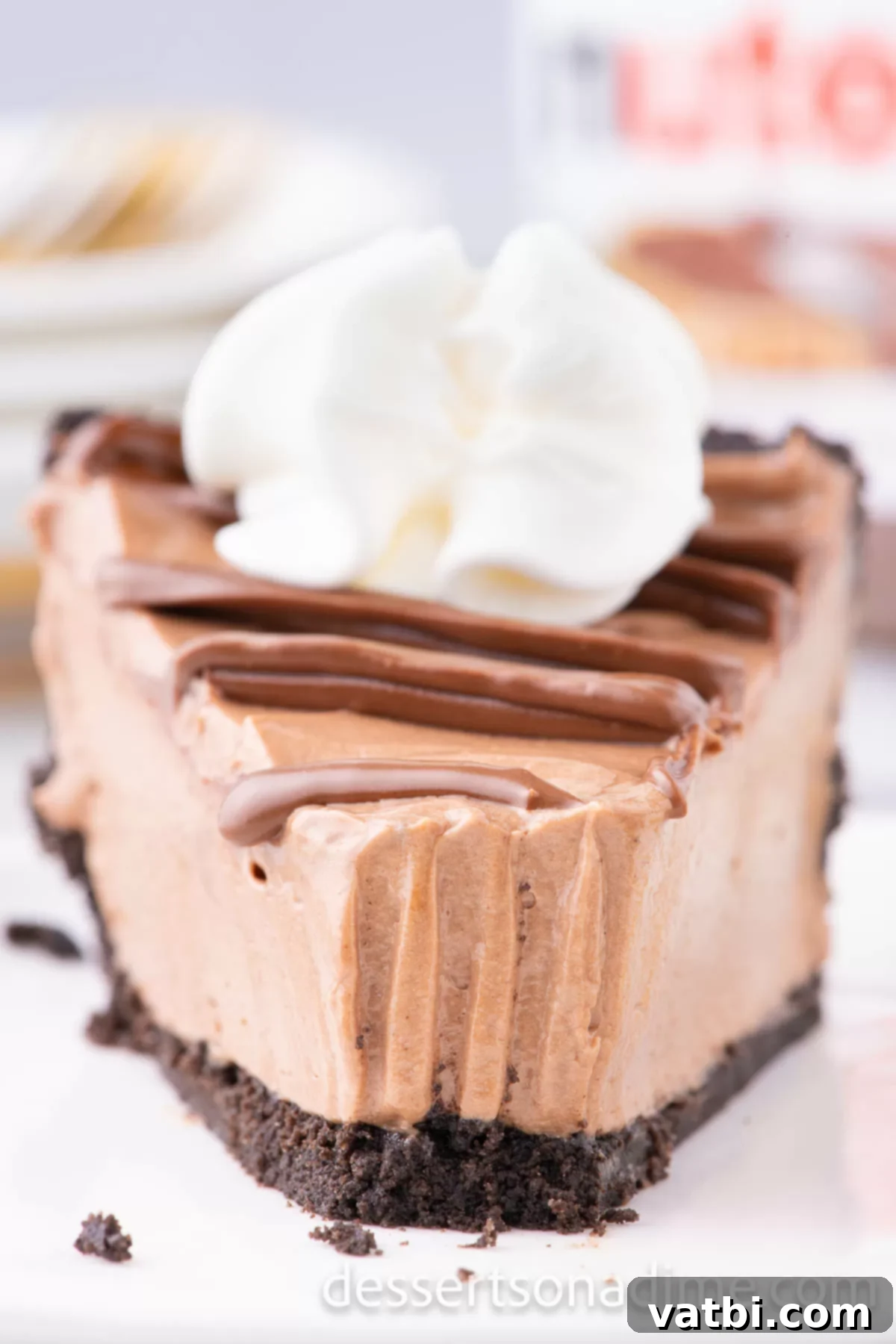 Decadent No Bake Nutella Cheesecake 12 No bake nutella cheesecake sliced on plate.