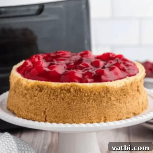 Air Fryer Cheesecake with a golden-brown crust.
