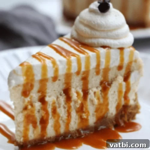 Caramel Macchiato Cheesecake with caramel drizzle and coffee beans.