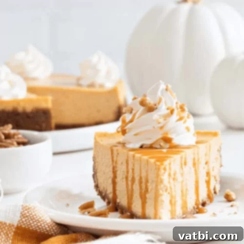 Sweet Potato Cheesecake with a swirl topping.