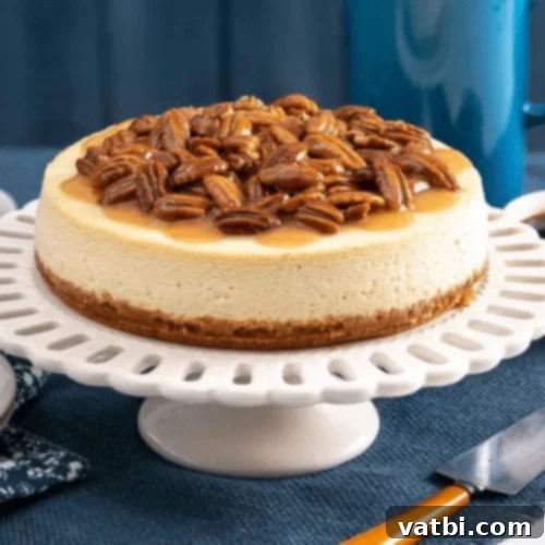 Honey Pecan Cheesecake with a golden honey drizzle and pecans.