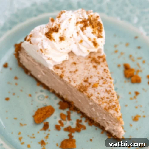 Chai Cheesecake slice with whipped cream.
