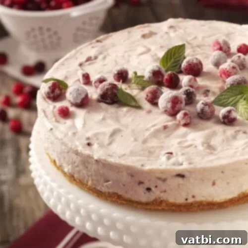 Mallow Cranberry Cheesecake with marshmallow swirls and cranberries.