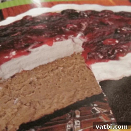 Cranberry Mocha Cheesecake with a rich, dark swirl.