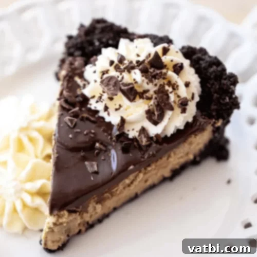 Chocolate Espresso Cheesecake topped with whipped cream and espresso beans.