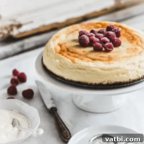 Italian Ricotta Cheesecake slice with powdered sugar.