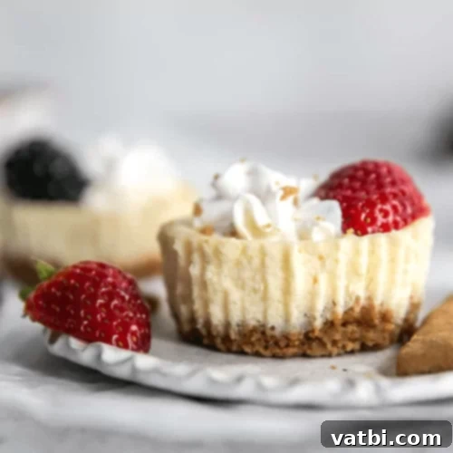 Mini Yogurt Cheesecakes topped with berries.