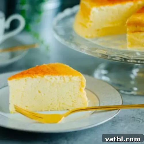 Japanese Cheesecake, famously light and fluffy.