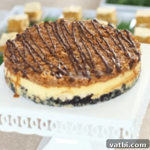 Caramel Coconut Cheesecake with shredded coconut topping.