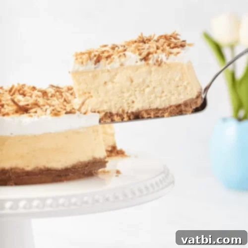 Coconut Cheesecake slice with shredded coconut.