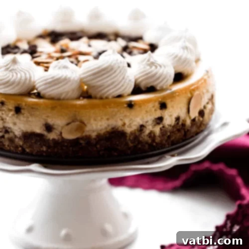 Amaretto Cheesecake with chocolate chips.