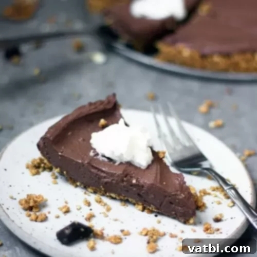 Vegan Dark Chocolate Tofu Cheesecake slice with chocolate shavings.