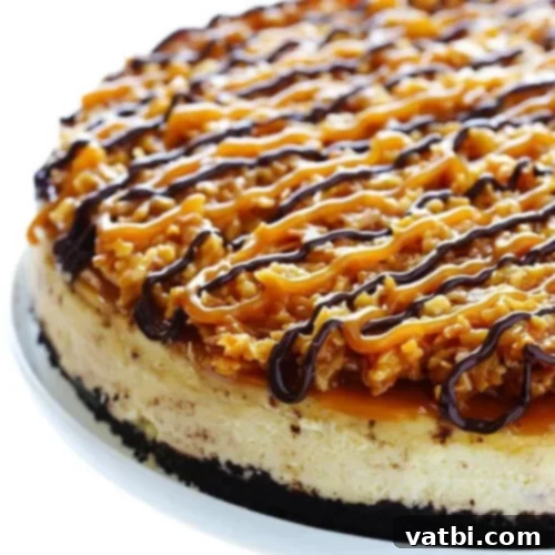 Samoa Cheesecake with toasted coconut and chocolate drizzle.