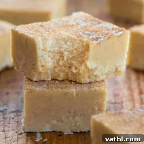 55 Festive & Easy Christmas Fudge Ideas 14 Snickerdoodle Fudge squares, dusted with cinnamon sugar.