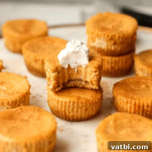 97 Effortless Fall Desserts 70 img 49542 95