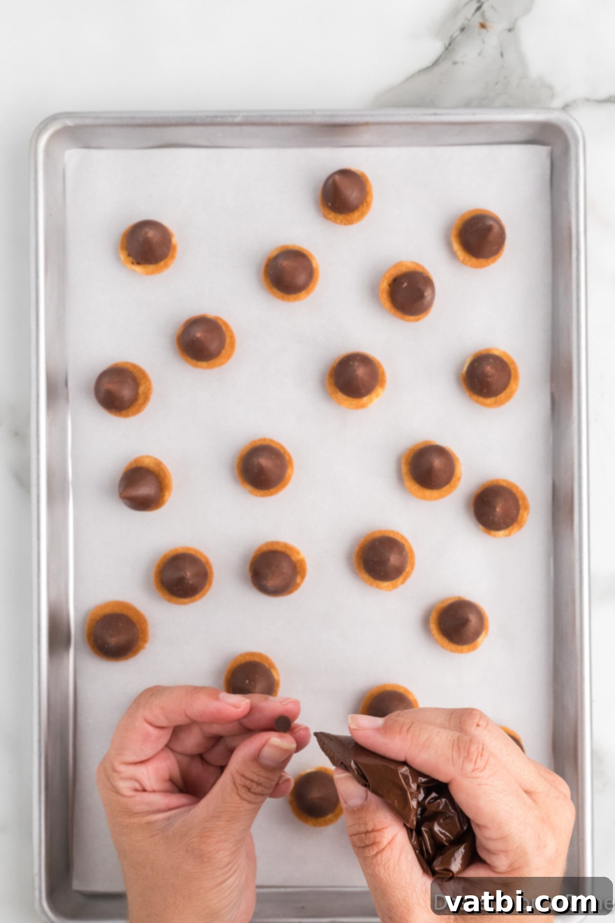 Acorns on a baking sheet ready for the freezer. 