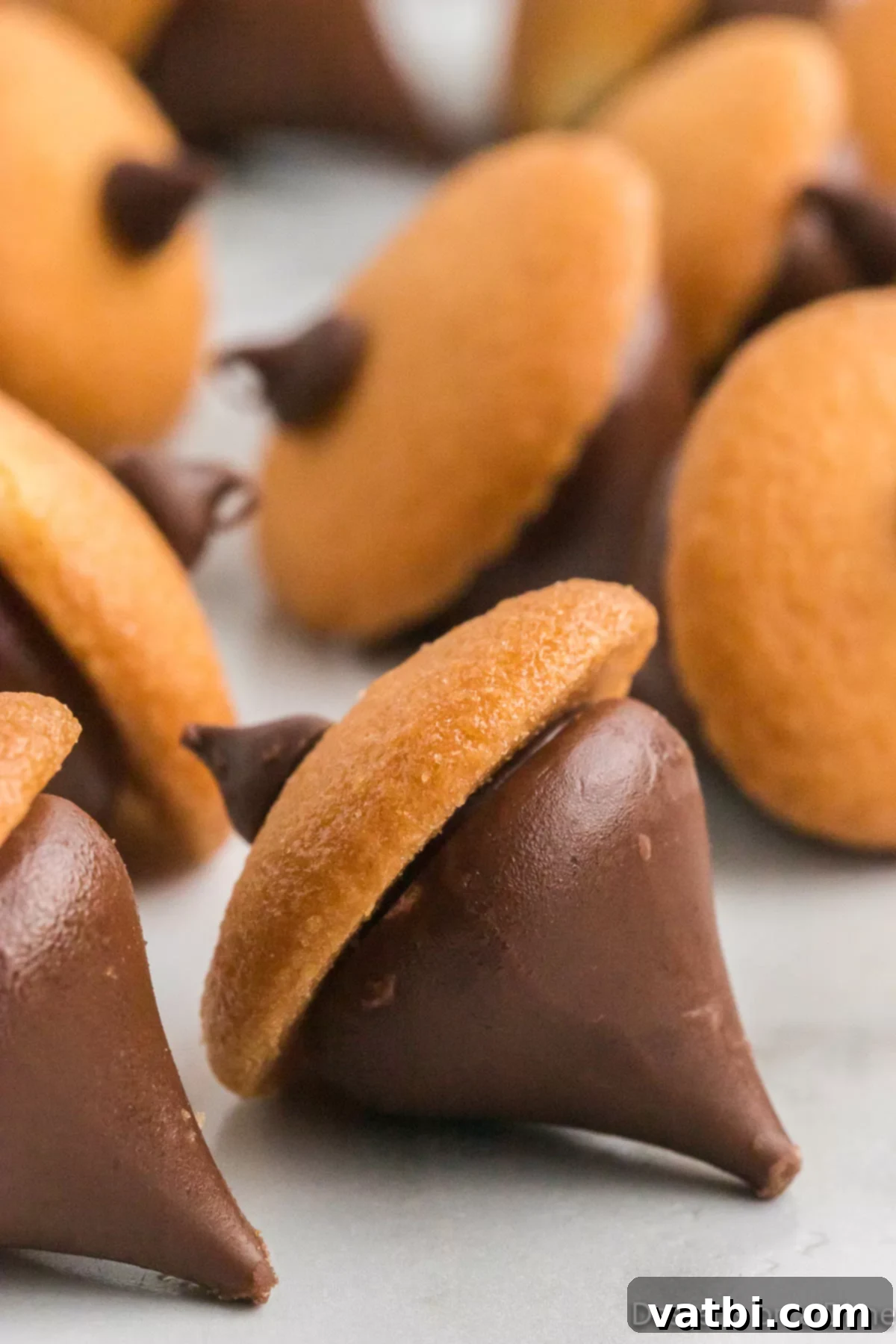Chocolate Acorns ready to enjoy. 