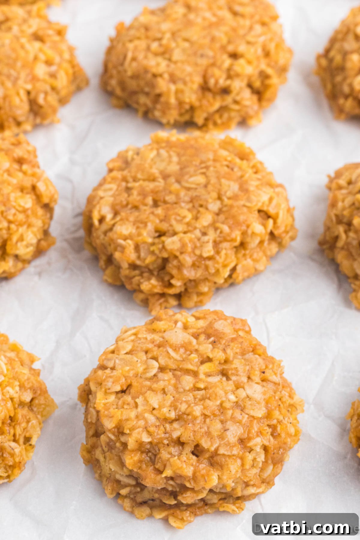 No-Bake Pumpkin Spice Treats 9 Pumpkin no bake cookies ready to enjoy.