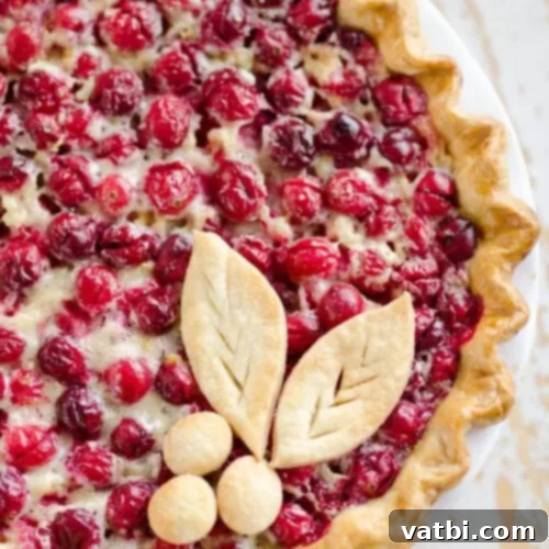32 Magical Christmas Pie Delights 10 img 52841 17