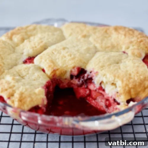 Autumn Apple Bakes 10 Blackberry and Apple Cobbler Pie, a wonderful autumn pudding.