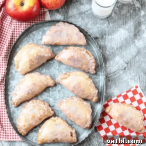 Autumn Apple Bakes 12 Fried Apple Hand Pies, a delicious, portable apple dessert.