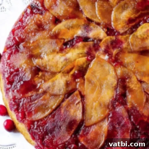 Autumn Apple Bakes 15 Cranberry Apple Upside Down Cake, a perfect sweet and tart apple dessert with a brown sugar butter glaze.