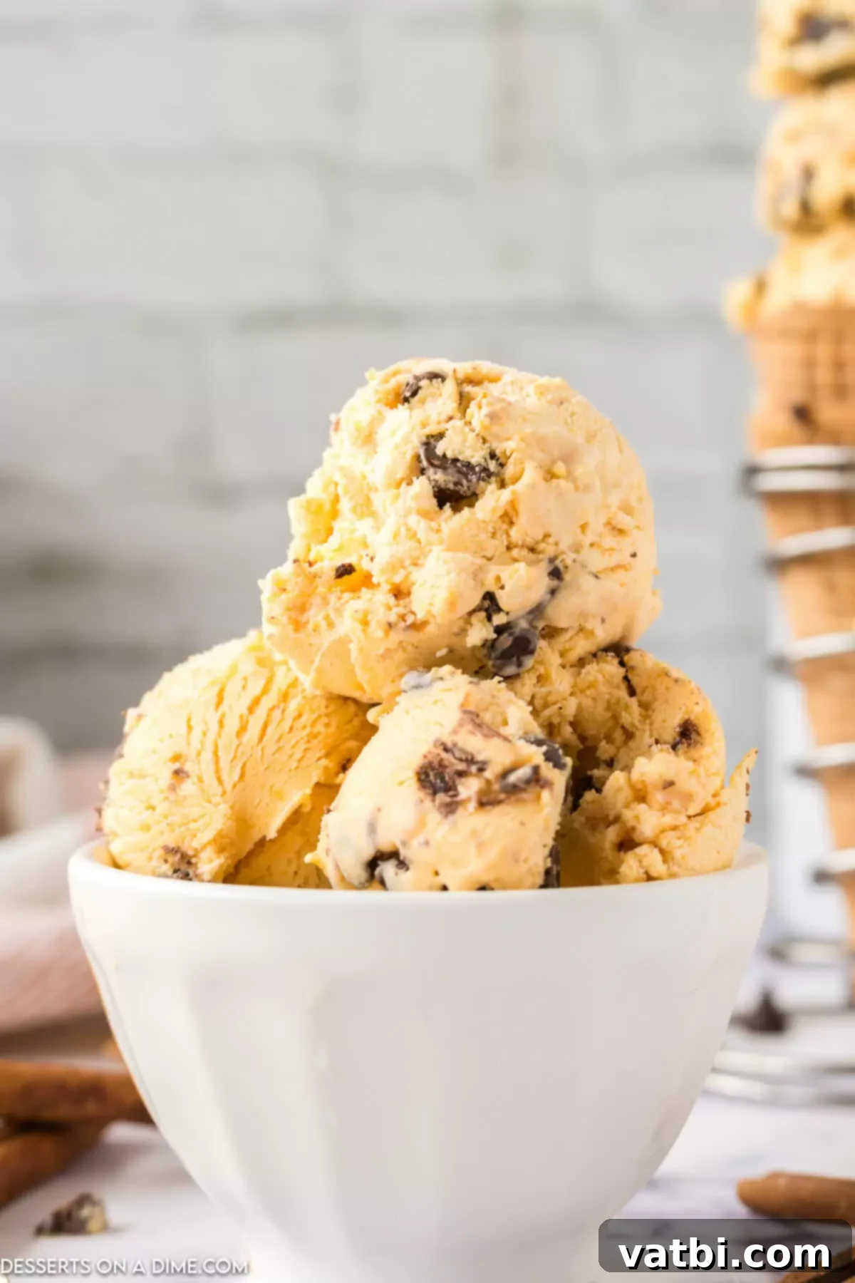 Spiced Pumpkin Chocolate Chunk Dream 2 Scoops of homemade Pumpkin Chocolate Chip Ice Cream in a white bowl, garnished with chocolate chips and a sprinkle of cinnamon