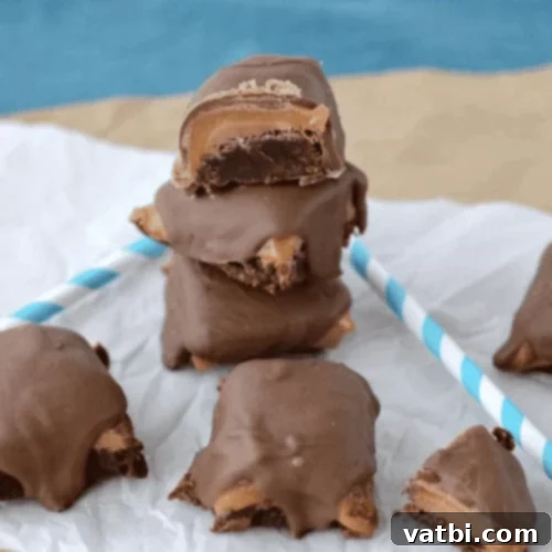 Marshmallow Fluff Delights 8 Milky Way Brownie Bites with a caramel and chocolate topping.