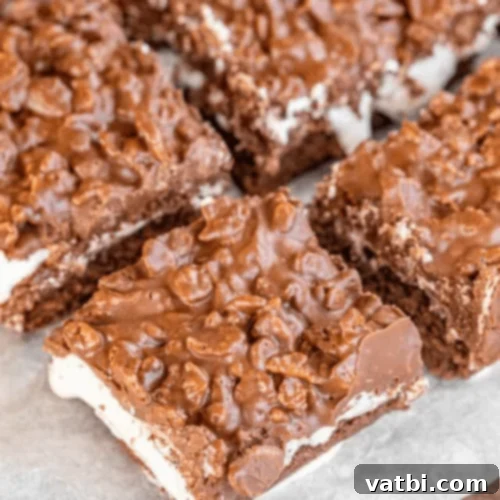 Marshmallow Fluff Delights 9 Peanut Butter Krispie Brownies topped with chocolate and rice krispies.