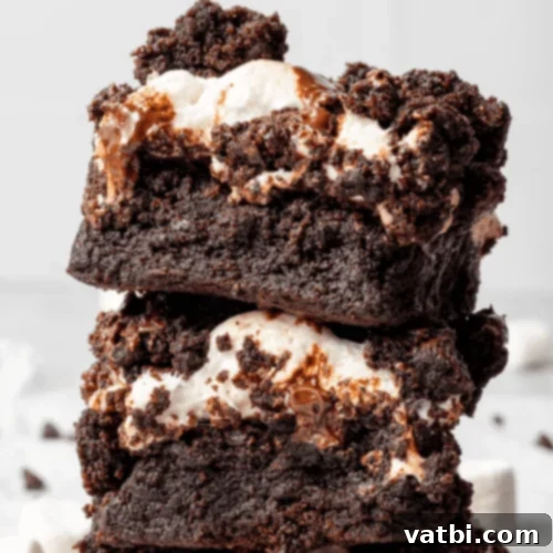 Marshmallow Fluff Delights 10 Marshmallow Swirl Brownies with visible swirls of fluffy marshmallow and chocolate chips.