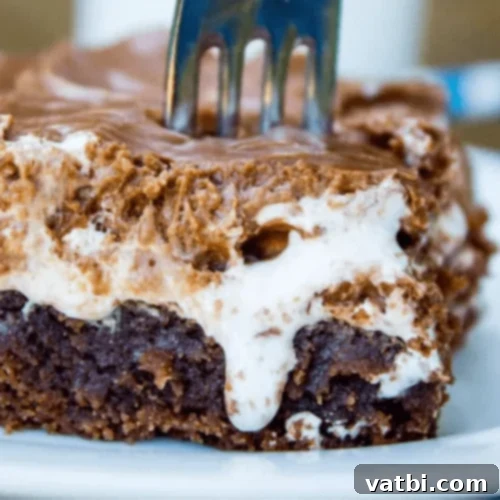 Marshmallow Fluff Delights 25 A slice of rich Mississippi Mud Cake with distinct layers of chocolate cake, marshmallow creme, and chocolate frosting.