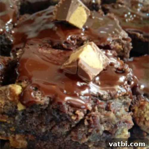 Decadent Reese's Desserts 18 Swirled Peanut Butter Cup Brownies