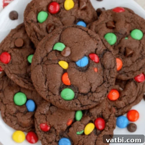 M&M Sweet Treats 11 Chocolate M&M Cookies