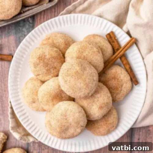Buttery Mexican Cinnamon Cookies with a crunchy cinnamon-sugar coating, a delightful traditional sweet treat.