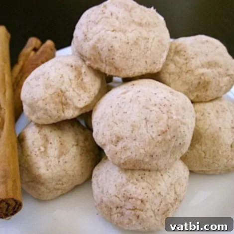 A plate of traditional Mexican Polvorones, crumbly shortbread cookies lightly dusted with cinnamon sugar.